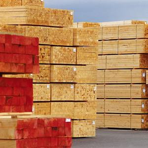 Madera Dimensional de Pino, Abeto, Cedro y Madera Aserrada para Construcción, Carpintería y Producción de Paneles de Madera - Product Image 5