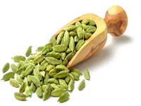 Cardamome/Cardamome verte de Ceylan/Cardamome de qualité supérieure