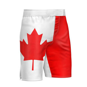 Shorts MMA en toile personnalisés avec logo avant, taille mi-haute, style vintage, respirants, haute qualité, service OEM, équipement d'entraînement de gym - Product Image 2
