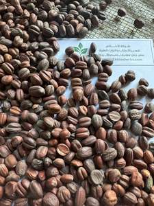 Premium Quality Dry Egyptian Jojoba 100% Pure Natural ISO 22000 Certified <b>Spices</b> and <b>Herbs</b> Raw Process AD Dried - Product Image 3