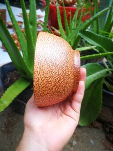 VENTE EN GROS EN LAQUE BOL EN BOIS DE NOIX DE COCO DU VIETNAM-BOL EN COQUILLE ARTISANAT DE HAUTE QUALITÉ À BAS PRIX - Product Image 3