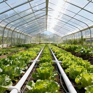 Invernadero Agrícola de Plástico Verde para Cultivos Comerciales, Túnel Agrícola de un Solo Tramo con Sistema Hidropónico para Vegetales - Product Image 6