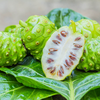 FRUITS NONI SÉCHÉS | MORINDA CITRIFOLIA | COMPLÉMENT DE SANTÉ NATURELLE