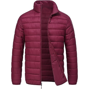 Veste matelassée à capuche pour homme moderne, légère, isolée thermiquement, design chaud, logo frontal pour le streetwear, aventures hivernales - Product Image 1