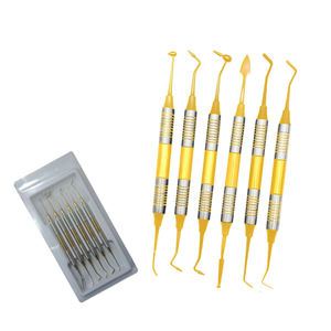 Instrumentos de Acero Inoxidable de Alta Calidad, Juego de 6 Instrumentos Manuales para Restauración Dental - Product Image 1