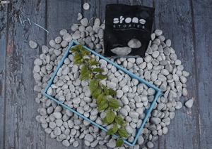 Đẹp Mystique <span class=keywords><strong>grey</strong></span> mịn đá tự nhiên <span class=keywords><strong>cobbles</strong></span> & sỏi giá tuyệt vời ngoài trời trang trí sân vườn cho công viên cảnh quan - Product Image 3