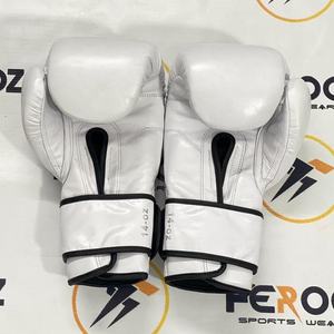 Guantes de Boxeo Fairtex Glory Blancos para Entrenamiento Profesional, Logotipo Personalizado, Artes Marciales, Acolchado de Espuma Cómodo, Genuinos - Product Image 4