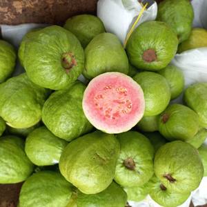 Polvo de guayaba rosa de alta calidad | Proveedor de polvo de frutas tropicales naturales de Vietnam - Product Image 6