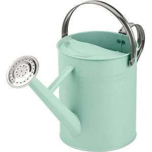 Bidon d'eau élégant en métal de qualité supérieure pour les arrangements floraux et l'arrosage de petites plantes avec une finition rustique antique - Product Image 1