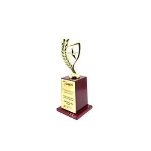 Trofeo de estrella de plumas de metal de alta demanda para celebraciones de equipos y honores especiales disponible a precio competitivo de la India - Product Image 4