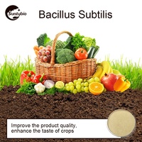 Probiotiques Bacillus Subtilis pour l'aquaculture du bétail et de la volaille