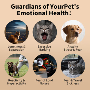 Snack Morbidi Calmanti Personalizzabili per Cani e Gatti, Integratori per Alleviare Stress e Ansia - Product Image 5