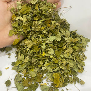 Embalaje de tambor de polvo de extracto de hierbas de hoja de Moringa de plantación artificial de grado alimenticio - Product Image 1