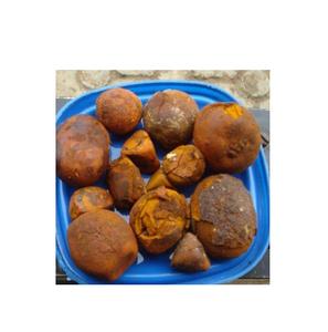 Prix bas, vente en gros, qualité supérieure, 100% naturel, calculs biliaires de bœuf/calculs biliaires de bovins/calculs biliaires de vache, vente en gros d'Allemagne - Product Image 3