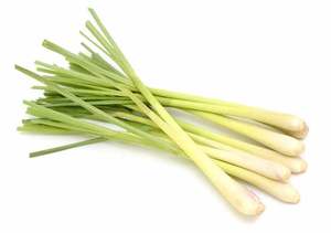 VENTE EN GROS-CITRONELLE PRODUIT du VIETNAM-MEILLEUR PAS CHER au VIETNAM - Product Image 3