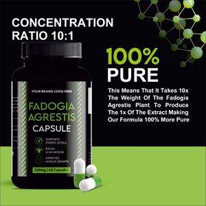 Fadogia Agrestis 500 mg Capsules Pack de 60 Wild Cultived Natural Health Supplément pour la force et la vitalité Certifié GMP - Product Image 2