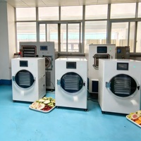 Commerciële mini-vriesdroogmachine met oliepomp voor snoep, voedsel, fruit en groenten - prijs