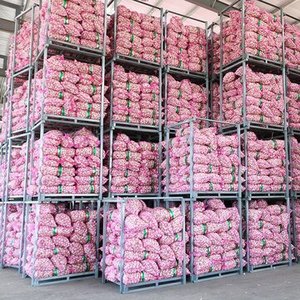 Ajo Fresco Orgánico de la Mejor Calidad, Cabeza de Ajo Púrpura, Blanco Puro, Rojo, para Exportación, en Sacos de 10kg y 20kg, Venta al Por Mayor - Product Image 4