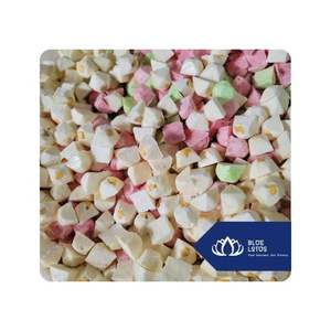 โยเกิร์ตฟรีซดรายขายดี พร้อมรับประทาน เหมาะสำหรับอาหารบรรจุภัณฑ์ ขายปลีก ส่งออก และบริโภคประจำวัน จากเวียดนาม - Product Image 1