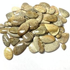 Quà Tặng Đá Tự Nhiên Đá Quý Lỏng Lẻo San Hô Hóa Thạch - Product Image 4