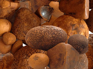 Calculs biliaires de bœuf/vache 100% pierres entières disponibles achetez des calculs biliaires de vache à bas prix - Product Image 6