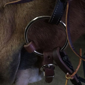Collare di cavallo testa di cuoio pazzo equestre regolabile su misura marrone sella nuovo arrivo - Product Image 4