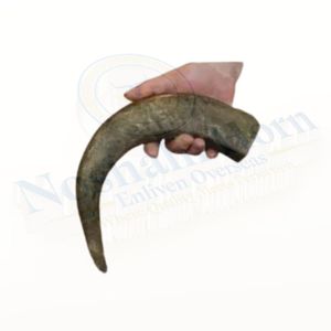 อุปกรณ์เคี้ยวเล่นสำหรับสุนัขทำจากเขาควายธรรมชาติแบบพรีเมี่ยมสำหรับสุขภาพฟันของเล่นสุนัขธรรมชาติที่ทนทานสำหรับทุกสายพันธุ์ - Product Image 2