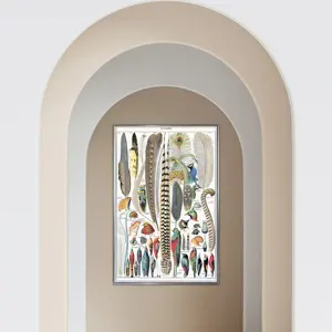 Póster de plumas de Adolphe Millot para decoración de pared - Product Image 2