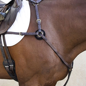 หนังนิ่มใส่สบายและผลิตภัณฑ์จากม้าและอุปกรณ์เสริมเสื้อโปโลมีเกราะ - Product Image 4