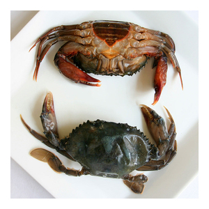 ปูเนื้อนิ่มแช่แข็งสำหรับการค้าส่งและสั่งซื้อจำนวนมากราคาโรงงาน - Product Image 2