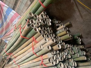 Tubos de bambú premium de Vietnam por 99D, oferta especial, material directo de fábrica para estructuras de muebles y uso en diseño de interiores - Product Image 3