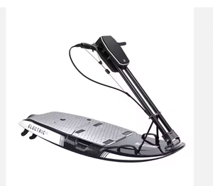 Tout neuf, original, électrique, 2 NEUFS, originaux - Product Image 1