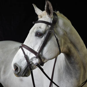 Lenging à l'aide d'une bride, brun roulé Bridle avec brevet Noseband - Product Image 3