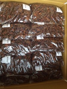Anis étoilé de qualité supérieure printemps/automne du Vietnam-qualité d'exportation, prix compétitifs (WA: + 84362512699) - Product Image 6