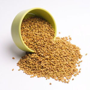 Vente en gros de graines de fenugrec entières, séchées, naturelles, biologiques, pures à 100%, de haute qualité, de la marque Spicecentra, fabriquées en Inde - Product Image 1