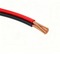 Fil plat flexible multiconducteur à double brin 600V, isolé en caoutchouc silicone, cuivre étamé, 100m MOQ, applications de construction