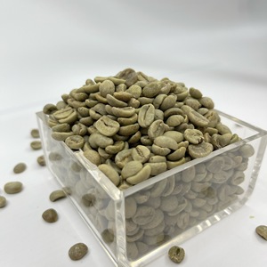 เมล็ดกาแฟอาราบิก้าสีเขียวจากลัมดง เวียดนาม ปลูกในพื้นที่ที่มีความหนาแน่นสูง ผลผลิตสดใหม่ จัดจำหน่ายจำนวนมาก บริการติดฉลากสินค้าภายใต้แบรนด์ของลูกค้า - Product Image 6