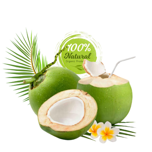 Noix de coco fraîche du Vietnam-l'essence de la nature dans chaque goutte - Product Image 2