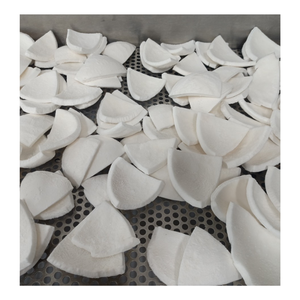 Prix compétitif de la viande de noix de coco congelée naturelle de forme variée, noix de coco râpée congelée de haute qualité - Product Image 4