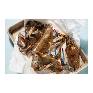 Crabes à coque molle à bas prix, fournis en qualité export pour des performances fiables - Product Image 4