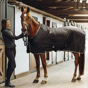 Alfombra de caballo impermeable de calidad superior para todas las estaciones Alfombra de caballo transpirable y cálida Venta en línea - Product Image 3