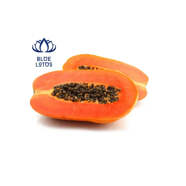 Semi di Papaya essiccati a prezzo caldo dal Viet Nam con alta qualità