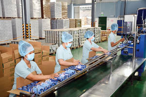 Agua de coco enlatada de Ben Tre 100% natural - Product Image 2