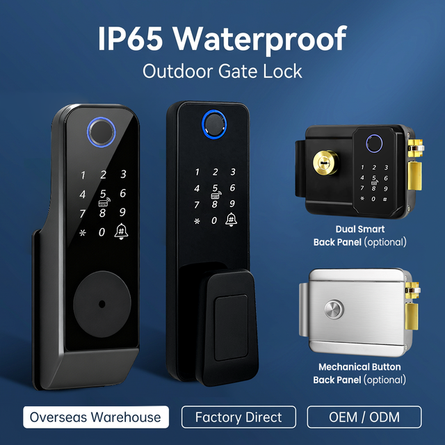 Tediton Main Door Entrance Electric Gate Smart Door Lock Work With ALEXA Google Home Electronic Rim Lock