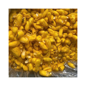 100% Pure Natural Golden <b>Silkworm</b> Cocoon | Direct Factory Price | Bulk Supplier for Silk Production - Product Image 1