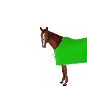 Tapis de cheval en molleton de polyester/coton vert de haute qualité Logo personnalisé Marque Conception solide Polaire de printemps en polycoton - Product Image 2