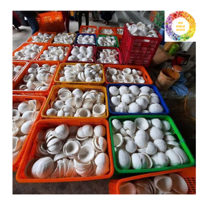 ขนมมะพร้าวอบแห้งแบบนิ่มขนมเนื้อมะพร้าวเคี้ยวสำหรับเป็นของขวัญปีใหม่ขนมผลไม้พิเศษจากเวียดนามสินค้าส่งออก - Product Image 4