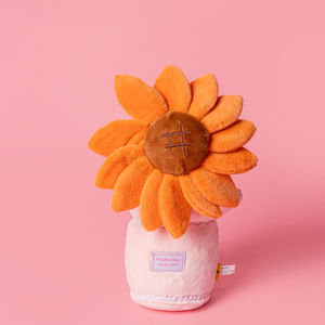 Bouquet chien classique mousse peluche jouet grinçant traiter cacher jouet d'enrichissement Durable mâcher et renifler jouet pour chiens moyens - Product Image 5