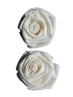 Sola Wood Flower diffuseur de roseau Parfum d'ambiance Fait à la main Sola Flower Echo Friendly Sola Flower Natural to aérer Freshen Reed