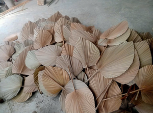 พัดลมใบปาล์มธรรมชาติทำด้วยมือเพื่อการตกแต่งที่มีชีวิตอย่างยั่งยืนและสไตล์เขตร้อน - Product Image 2